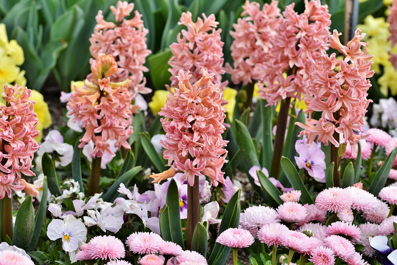 How to Create a Scented Garden for Relaxation